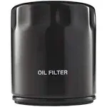 Polaris Oil Filter, Part 2520799