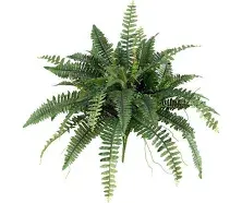 Nearly Natural 14" Boston Fern Artificial Plant, Set of 6 - Green