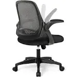 Neo Chair Adjustable Office Chair with Flip-Up Padded Armrest Ergonomic Back Support Black