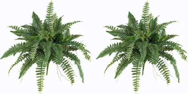 Nearly Natural Boston Fern