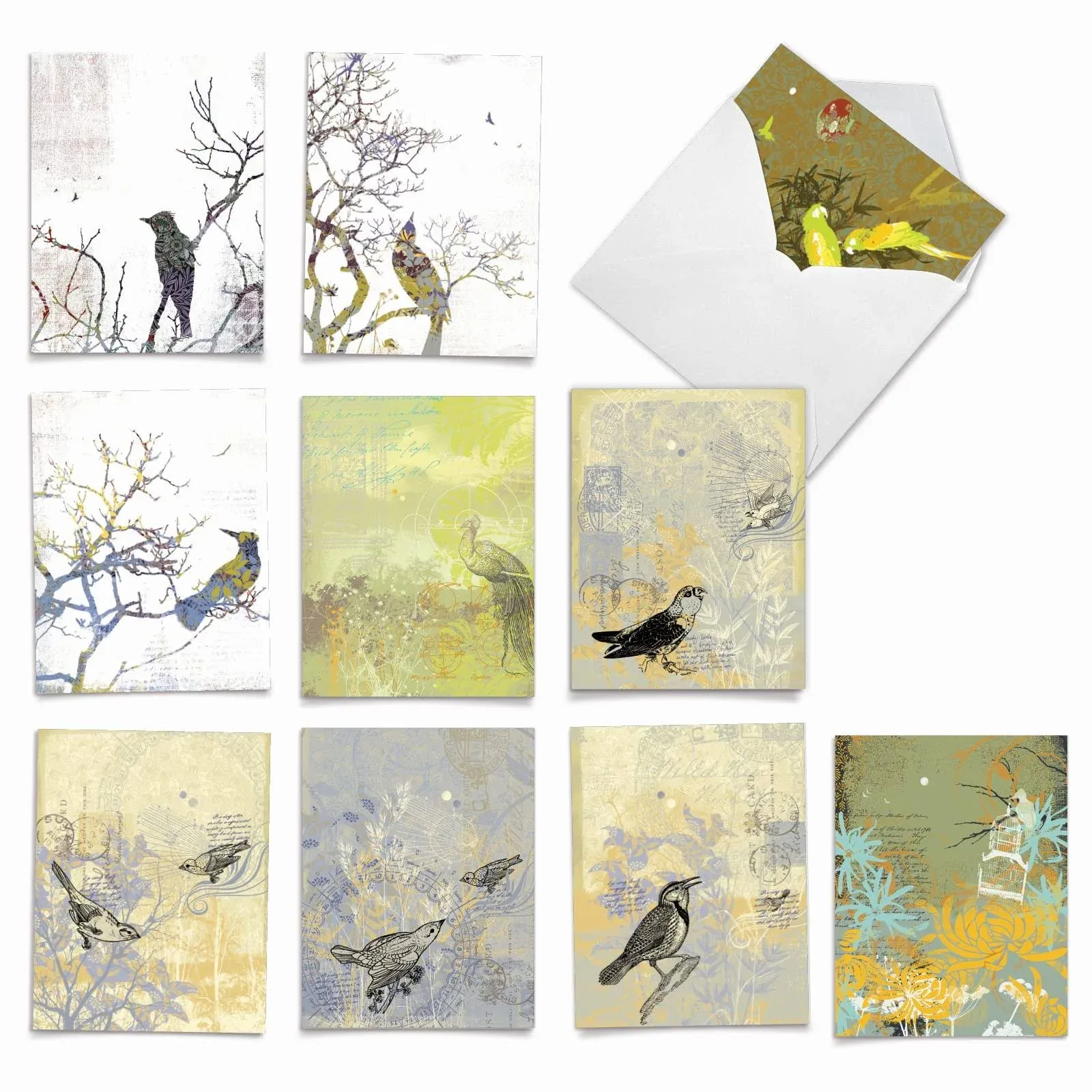 The Best Card Company - 10 Bird Note Cards Blank (4 x 5.12 Inch) - All Occasion Cards with Envelopes, Boxed Set - Bird Collages M2987OCB