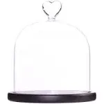 Clear Glass Dome Display Case Heart Handle Cloche with Wood Base Dia 6 Inch