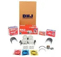 2008 Nissan Sentra Engine Rebuild Kit - Direct Fit, Kit EK635A by DNJ®