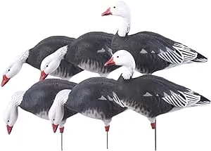 Avery/GHG Pro-Grade Full Body Blue Goose Harvester Pack - 6 Pack