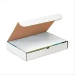 15 1/8 x 11 1/8 x 2" White Literature Mailers