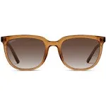 1007 Modern Square Sunglasses Brown Frame/Brown Lens