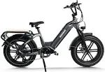 Himiway Big Dog Electric Cargo Bike