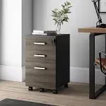 Lazio File Cabinet with Lock Filing Cabinet for Home and Office