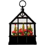 Raz Imports 9.5" Christmas Flowers and Cardinals Lighted Water Greenhouse Lantern