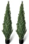 TRESIL Set of 2 Pre-Potted 5 Feet Faux Cedar Tree, Lifelike UV Protected Front Door Decor, Porch, Garden, Entryway Topiary, Indoor/Outdoor Use - Ready