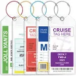 Cruise Ship Essentials for Carnival, Princess, Norwegian by JOLLYANTS, Cruise Luggage tag Holder Cruise Must Haves Rainproof & Reusable