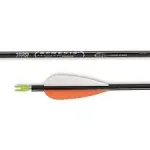 Easton Genesis Arrows Black 1820 6 pk.