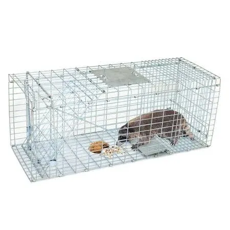 Homgarden Humane Live Animal Cage Trap 32inch Steel Catch Release Rodent Cage for Rabbits, Groundhog, Stray Cat, Squirrel, Raccoon, Mole, Gopher, Chi