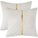 2Pcs Velvet Throw Pillow Covers 18x18 Pack of 2 with Gold Leather Decorative