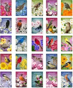 Postcard Fair US State Birds and Flowers Set of 50 Postcards