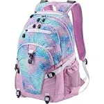 High Sierra Backpack, School, Travel, or Work Bookbag - Rainbow scales