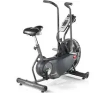 AD6 Airdyne Exercise Bike