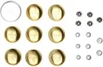 Pioneer PE100B Brass Freeze Plugs Plug Kit Chevy 267 283 302 307 327 350 5.0 5.7