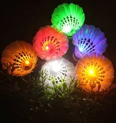 LED Shuttlecock Badminton, 6 Pack 6 Color Shuttlecock Dark Night Goose 