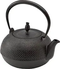 Ikenaga Nambu Iron Works Kettle