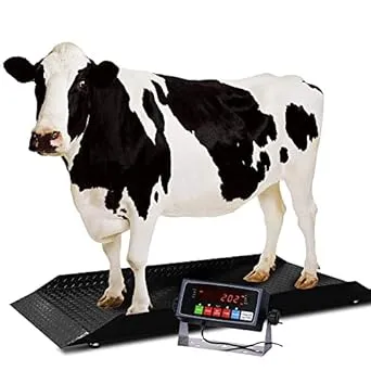 Large Farm Animal Scale/Digital Livestock Weighing Equipment, Capacity 4000 x 1 lb for Cattle, Horse, Goat, Cow, Alpaca, etc. (84x30)