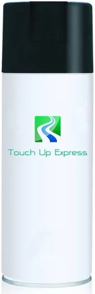 Touch Up Express Mini Cooper 900 Arktissilber Metallic Aerosol Touch Up Paint 12oz for Car Auto Truck