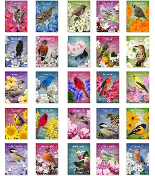 Postcard Fair US State Birds and Flowers Set of 50 Postcards