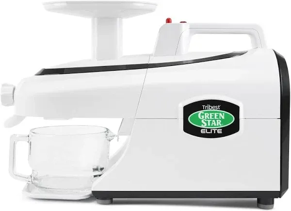 Green Star Elite GSE-5000 Slow Masticating Juicer