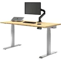 Desky Dual Bamboo Sit Stand Desk