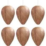 6 Pack Wasp Nest Decoy Hanging Wasp Deterrent for Wasps Hornets Yellow Jackets