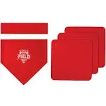 Franklin Field Day Baseball Base Set, Size: One size, Other