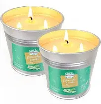 Kingyo 2 Packs Large Citronella Candles