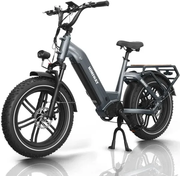 Himiway Big Dog Electric Cargo Bike