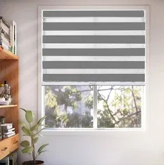 Chicology Everyday Cordless Light Filtering Zebra Window Shades - 22"W x 72"H - Basic Slate