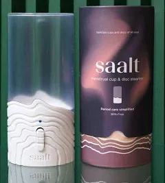 Saalt Steamer