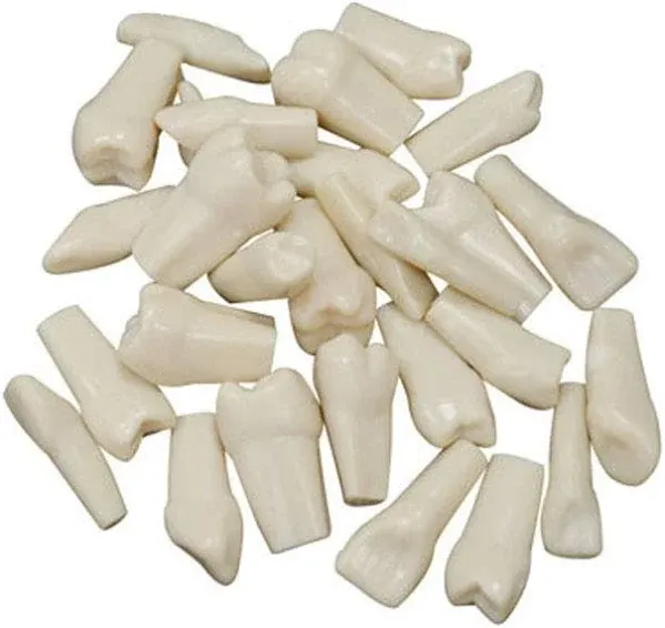 32pcs Removable Teeth Piece for Typodont Teeth Model Compatible with Kilgore Nissin for Teaching, Study