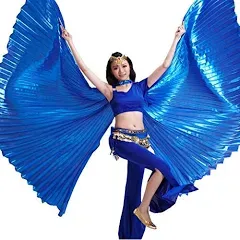 Pilottrade Women's Egyptian Belly Dance Costume