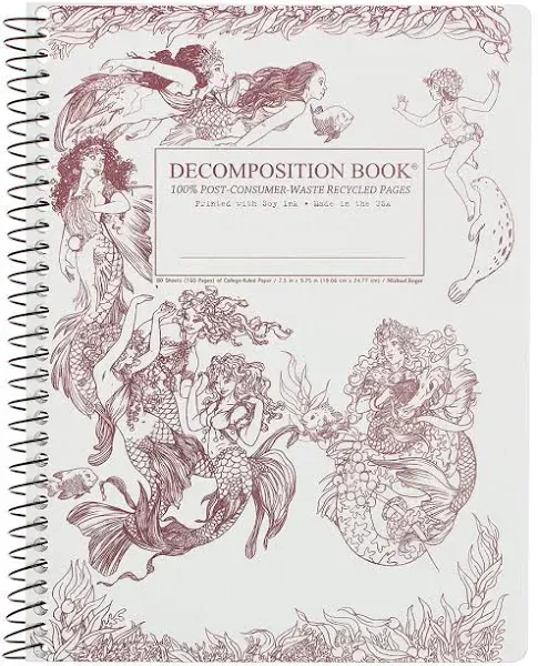 Decomposition Mermaids Pocket Notebook