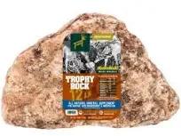 Trophy Rock Mineral Lick