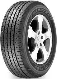 Dunlop Grandtrek AT20 All-Season Tire - 265/70R17 113S