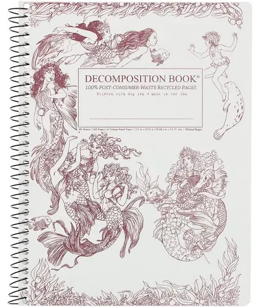 Decomposition Mermaids Pocket Sized Notebook