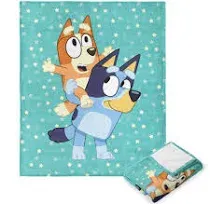 The Northwest Group Bluey Big Play Silk Touch Throw Blanket