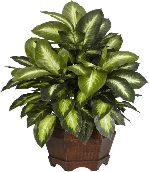 Golden Dieffenbachia Nearly Natural