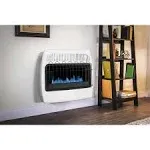 Dyna-Glo 30,000 BTU Liquid Propane Blue Flame Vent Free Wall Heater