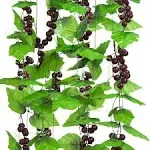 Meiliy 8ft 5pcs Artificial Greenery Chain Grapes Vines Leaves Foliage Simulation