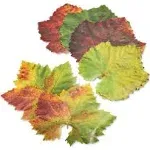 Parchment Paper Leaves for Cheese & Charcuterie Boards - Sisson Distribution Leaves (Pack of 20) (Grape Variety). Made in USA with French Parchment Paper.