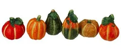 Northlight Fall Harvest Ceramic Pumpkins Decoration Set