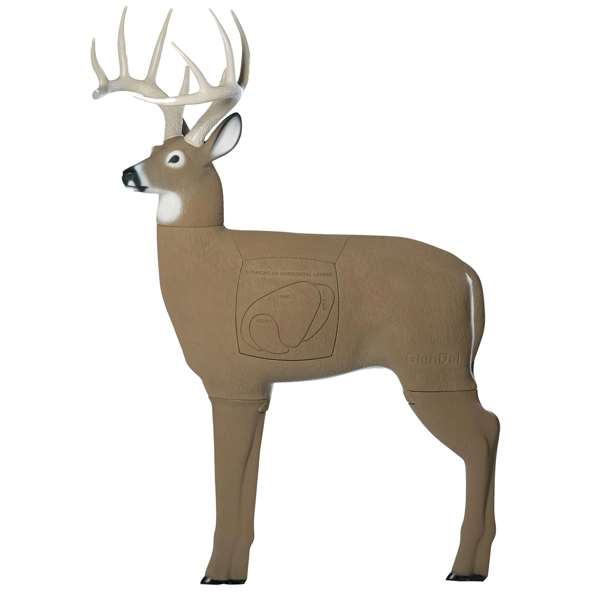 Realistic Lifelike 3D Buck Archery Target - Removable Head - Replaceable Insert