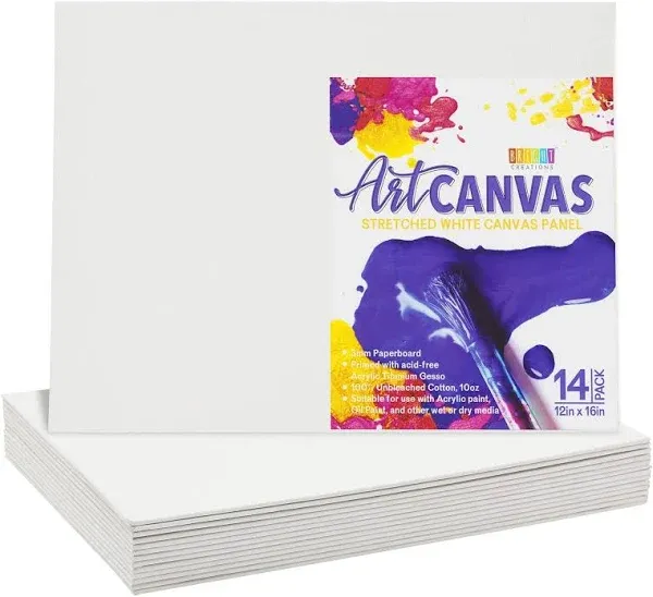 Bright Creations 14 Pack Flat Canvas Boards