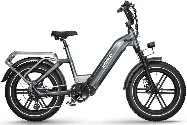 Himiway Big Dog 20X4 Fat Tire Electric Bike 750W Cargo Ebike